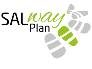 salway-plan.de